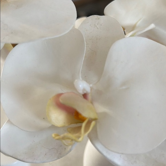 allohamae